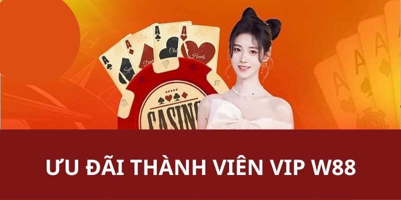 Ưu đãi dành cho thành viên Vip